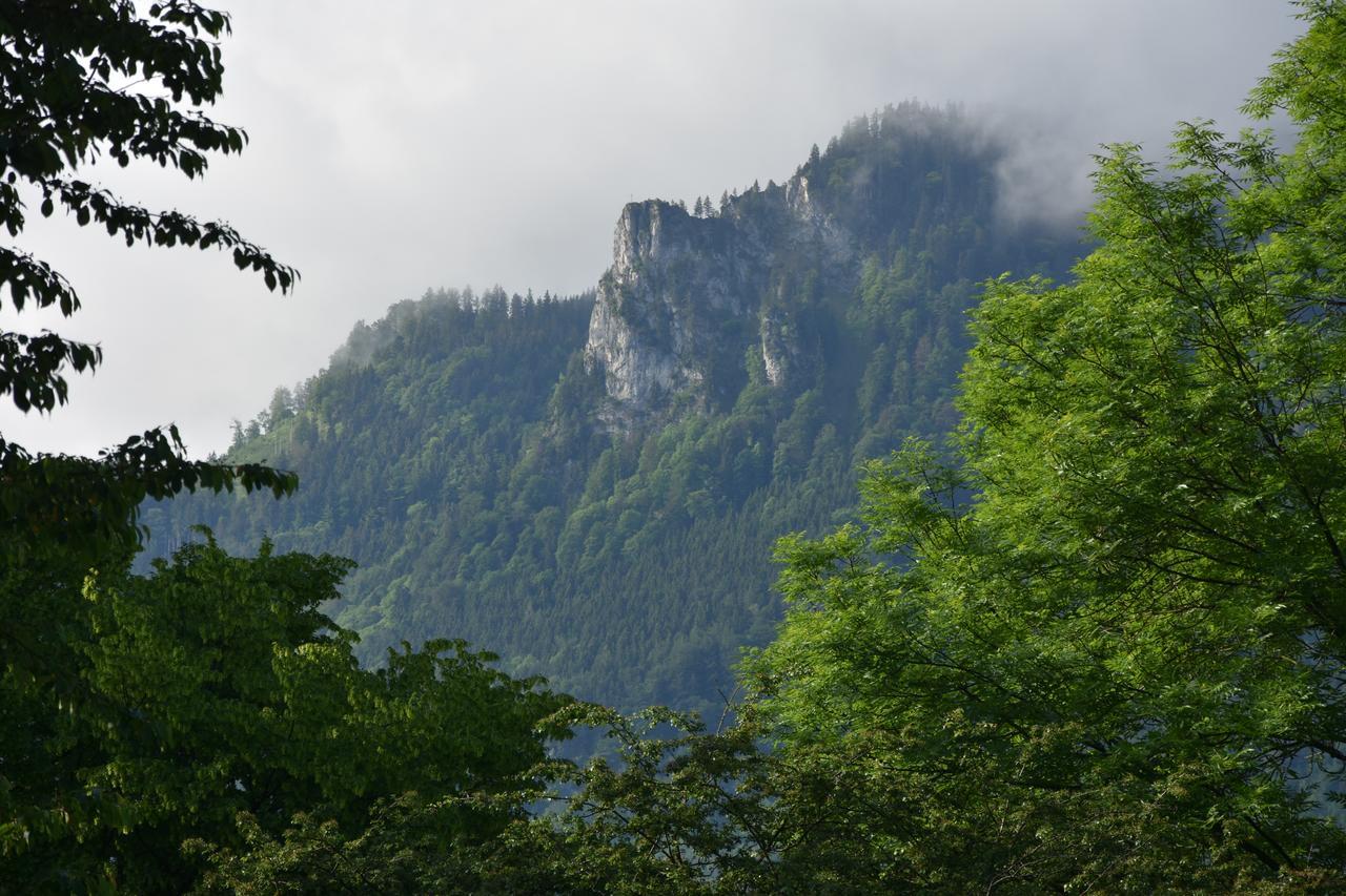 Cor-Resort - Boutique Villa Brannenburg Esterno foto